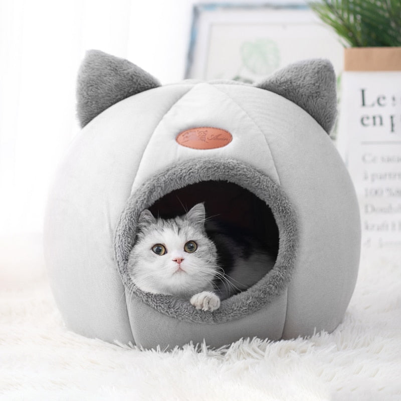 Kedi Yatağı