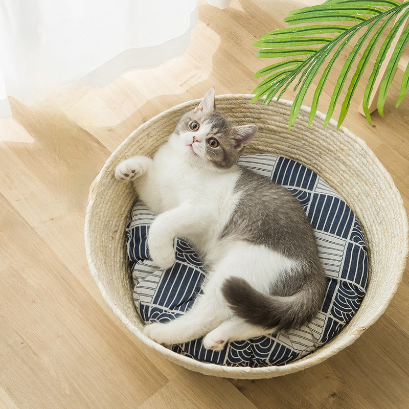 Kedi Hasır Yatak