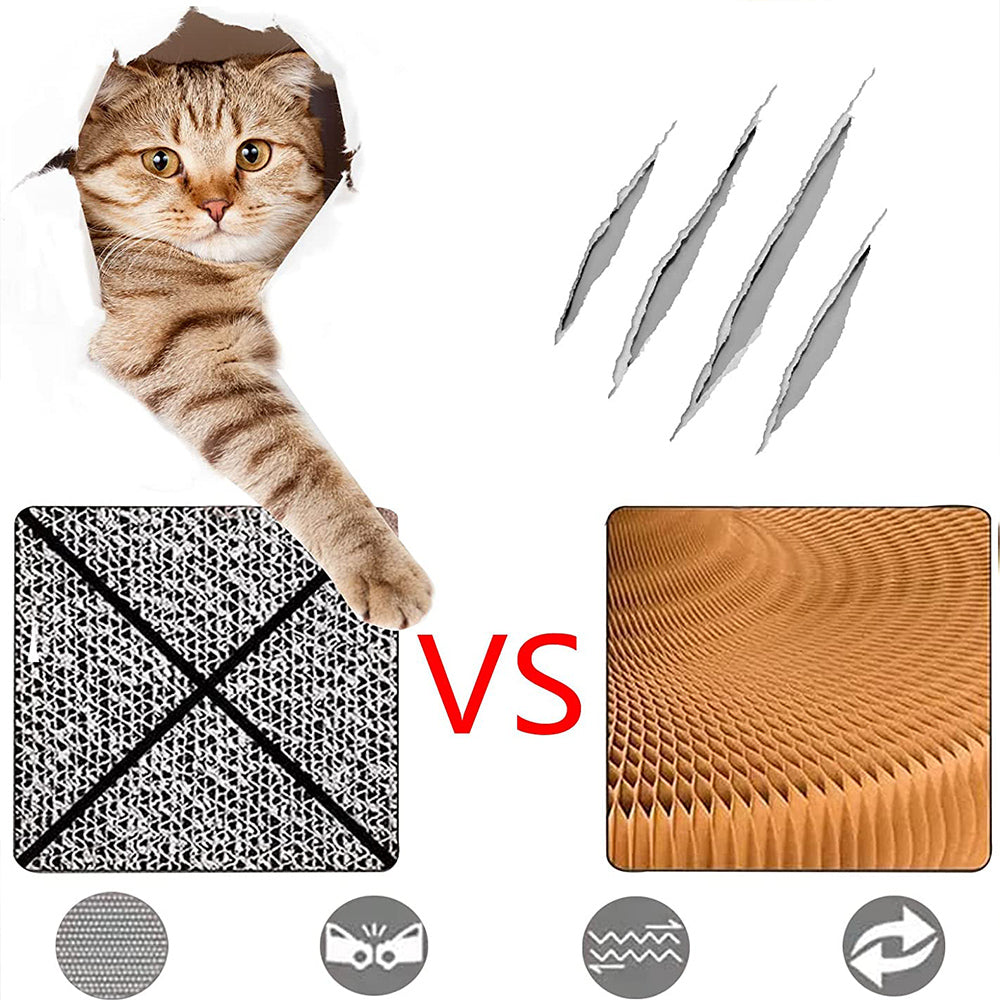 Kedi Tırmığı