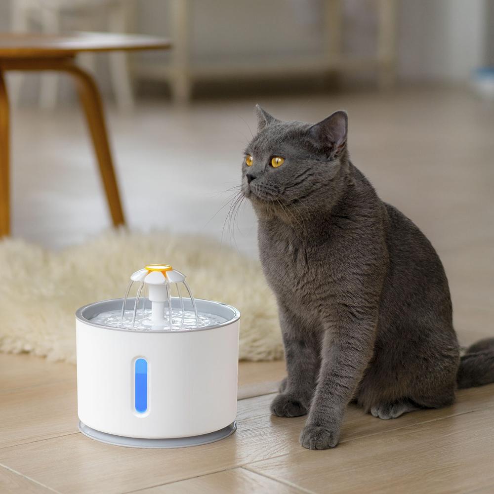 Pet İçme Çeşmesi Dispenseri