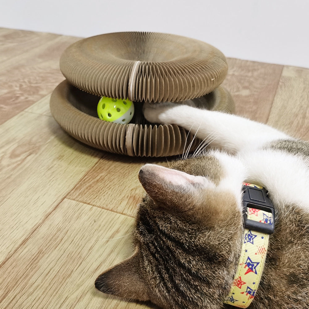 Kedi Tırmığı