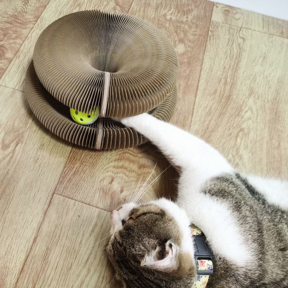 Kedi Tırmığı