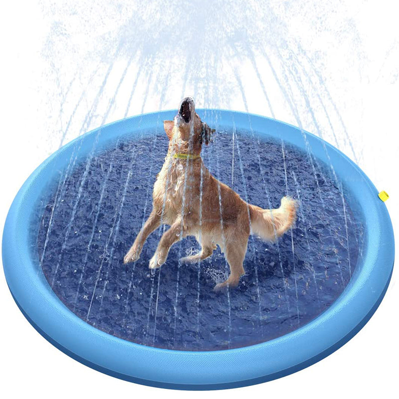 Köpek Yağmurlama Pedi