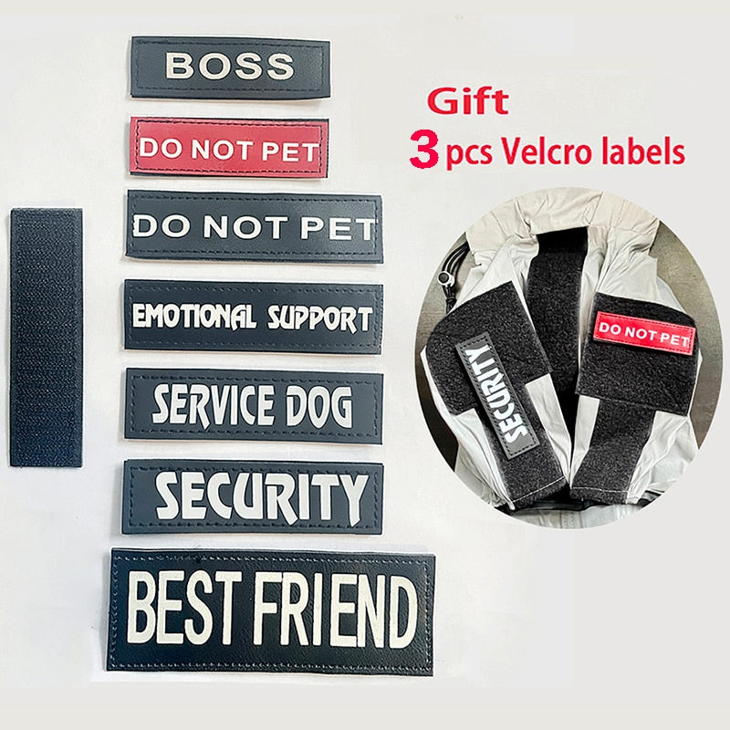 Yansıtıcı Köpek Yağmurluğu