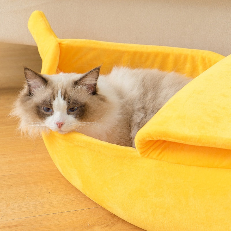 Muzlu Kedi Yatağı