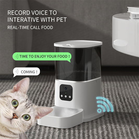 Pet Otomatik Besleyici Büyük Kapasiteli Akıllı Ses Kaydedici APP Kontrol Zamanlayıcı Besleme WiFi Ile Kedi Köpek Maması Dağıtıcı Pet Kase