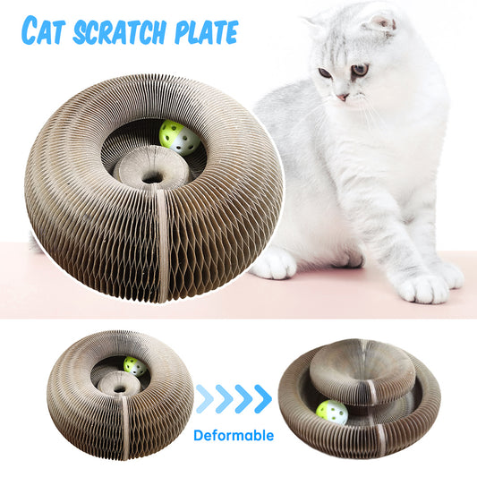 Kedi Tırmığı