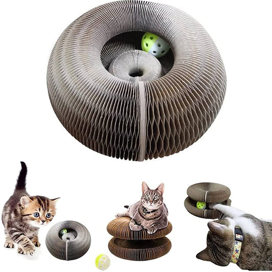 Kedi Tırmığı