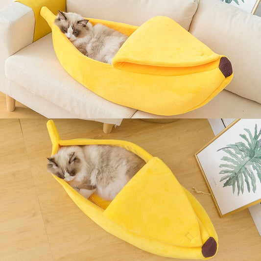 Muzlu Kedi Yatağı