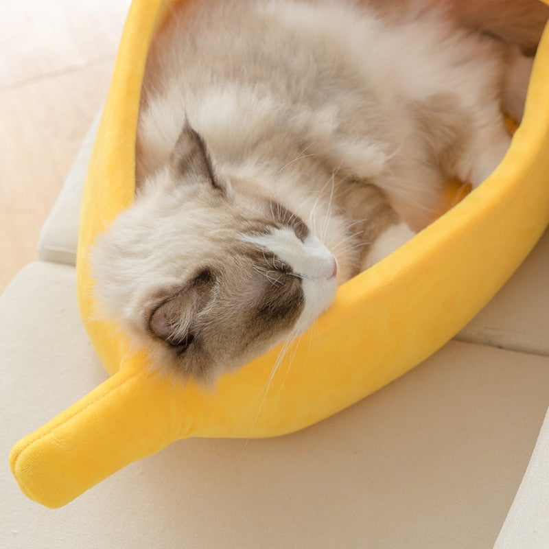 Muzlu Kedi Yatağı
